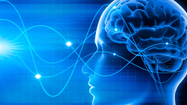 Mastologia: quando ciência e sensibilidade caminham juntas