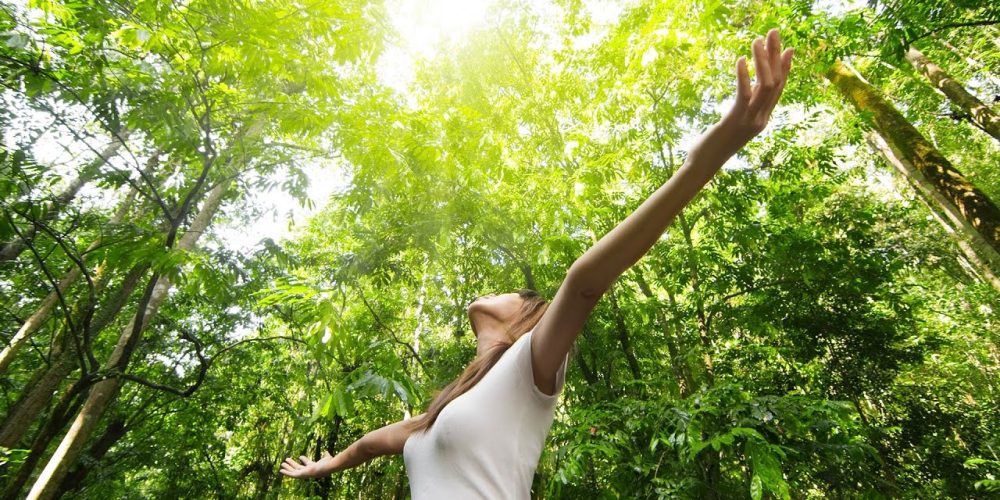 O contato com a natureza