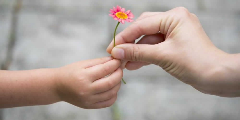 &#8216;A ESPERANÇA MUDA&#8217;