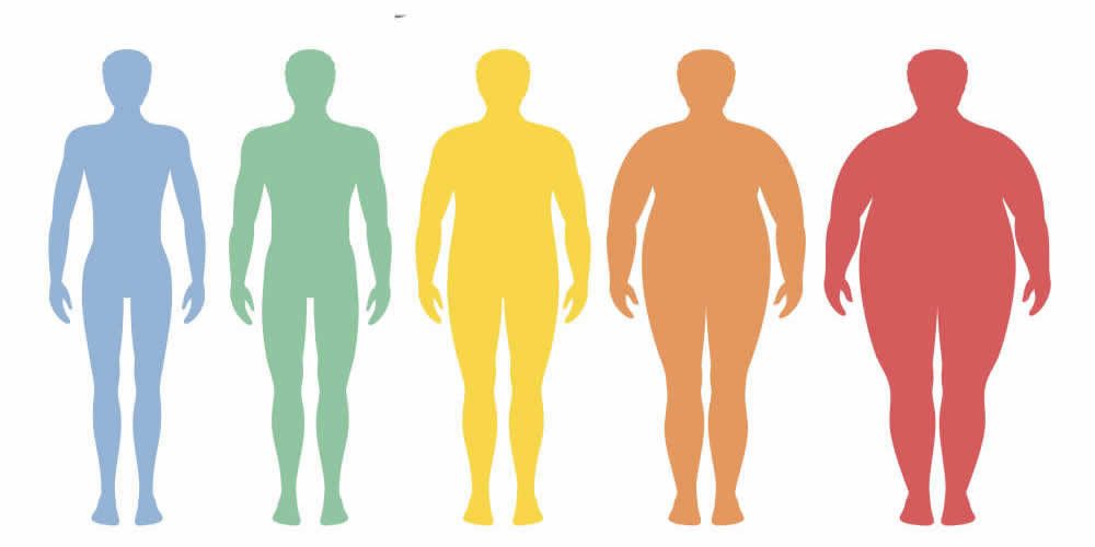 Pesquisadores da University of Tennessee Health Science Center &#8211; UTHSC publicam novas descobertas sobre como a obesidade afeta os tratamentos de câncer