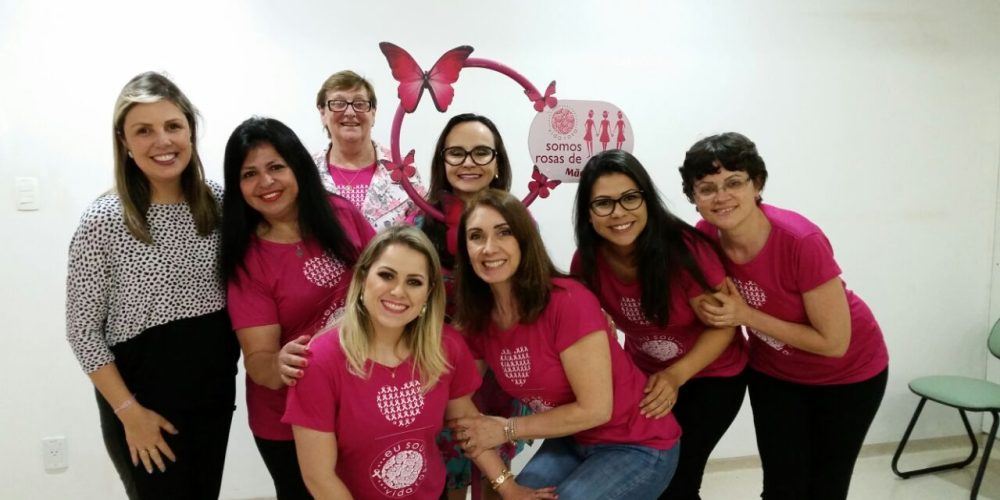 Aniversário de 1 ano Vida Rosa